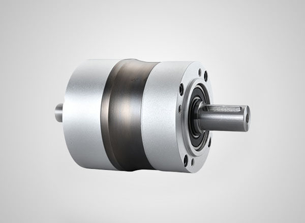 HS double axis planetary reducer